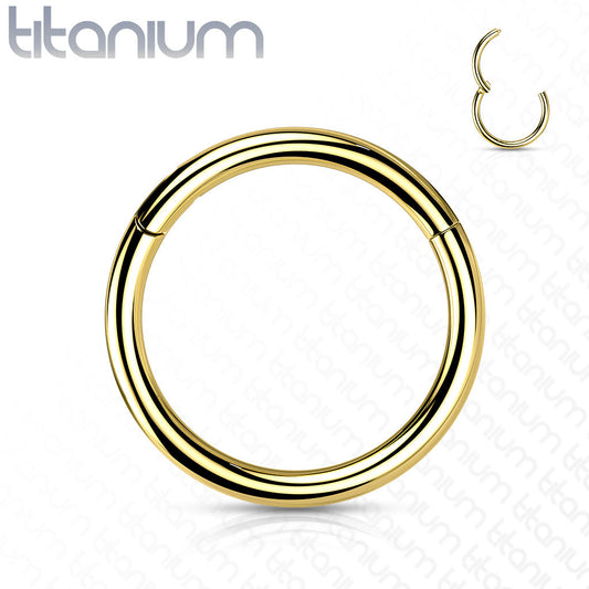 Titanium Colored Hinged Rings 16G & 14G