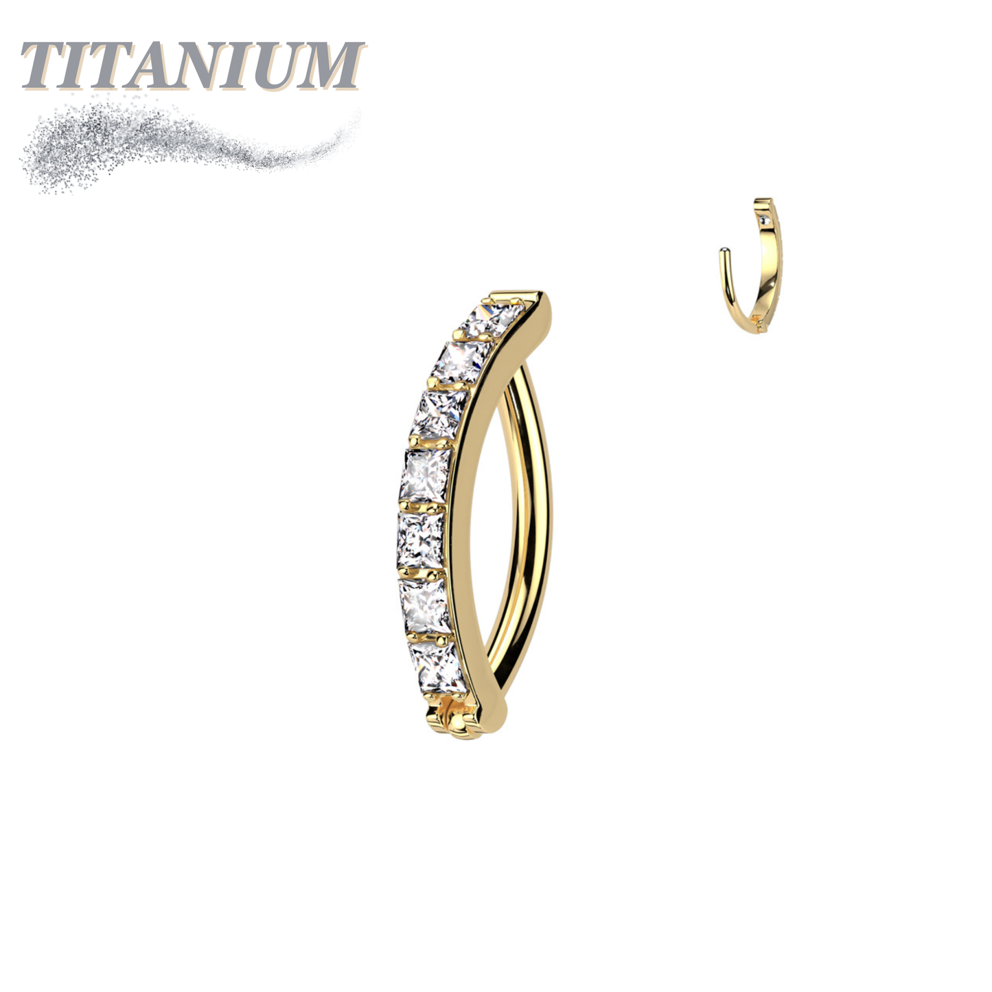 Titanium Hinged CZ Band Ring in 16G for Brow & Rook