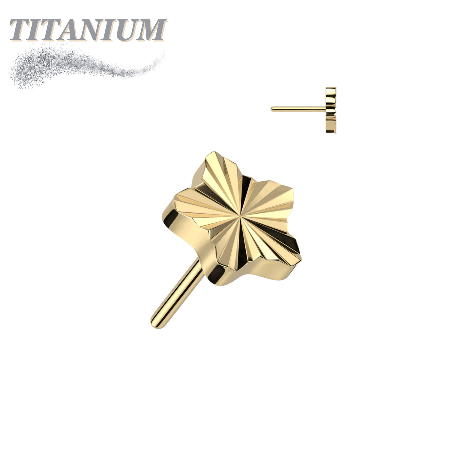 Threadless Titanium Star Shape Ridged Top Only