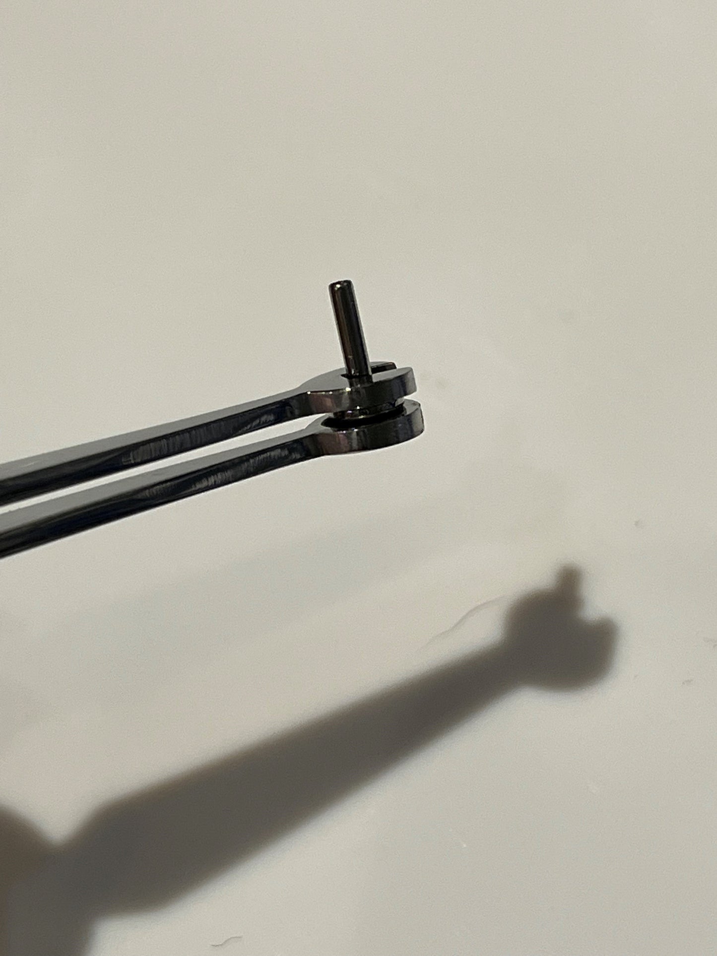 Labret Holding Tweezer