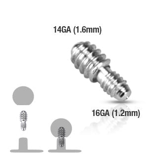 Surgical Steel Dermal Anchor Converter (14G internal to 16G external Top)