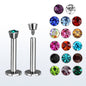 Surgical Steel Martini Bezel Set Gem Internally Threaded Labret