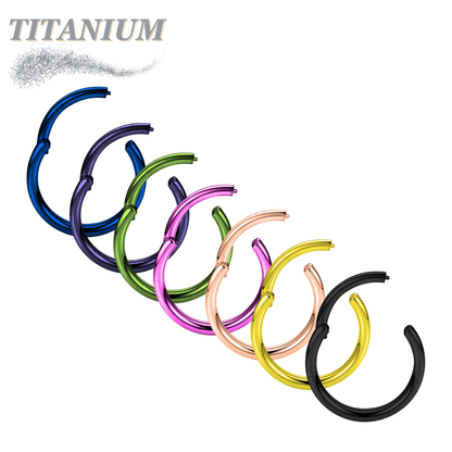 Titanium Colored Hinged Rings 16G & 14G