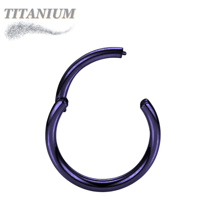 Titanium Colored Hinged Rings 16G & 14G