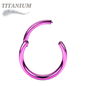 Titanium Colored Hinged Rings 16G & 14G