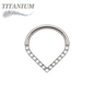 Titanium Single Paved CZ Chevron 16G 8mm