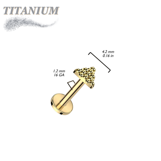 Titanium Internally Threaded Pinhole Pattern Triangle Labret