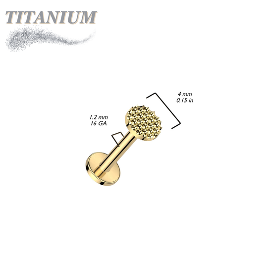 Titanium Internally Threaded Pinhole Pattern Circle Labret